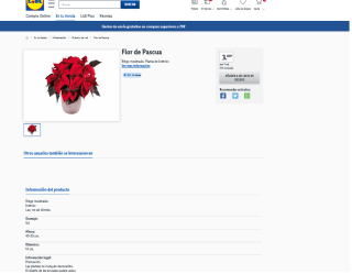 Flor de Pascua desde el 10 de Noviembre en tienda física Lidl