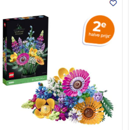 2de halve prijs op LEGO botanicals bij Trekpleister