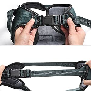 Arnés para perro Rabbitgoo por $229 en Amazon