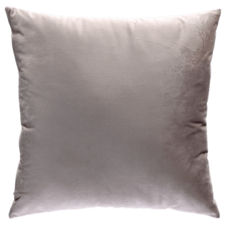 Sierkussen 40x40cm voor €4,99 bij Dirk