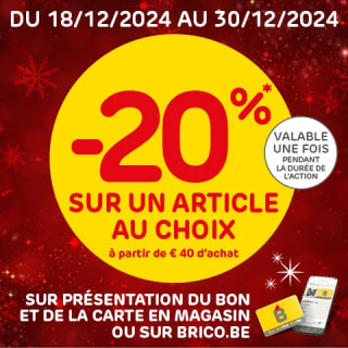 20% korting op 1 artikel naar keuze bij Brico met de code/bon