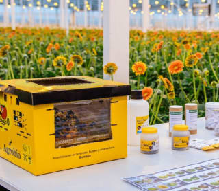 Gratis Kwekers bezoeken bij Kom in de kas op 6 & 7 april