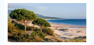 El Rompido Hotel 4* desde 66€ para 2 personas.