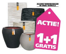 1+1 gratis op de Capi buitenpotterie bij Ranzijn