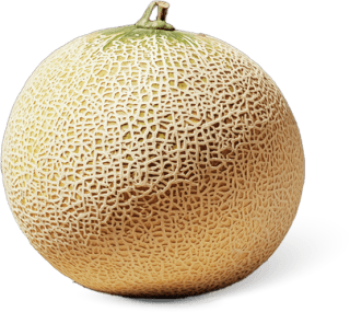 Galia meloen voor €0,99 bij Dirk