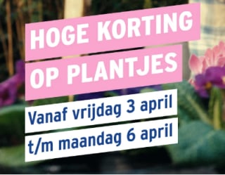 10 perkplantjes voor €1 tijdens de Plantjesmarkt bij de Gamma