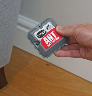 Nippon Ant Bait Station Twin Pack for £2.95 at Amazon
