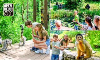 Dagentree voor Apenheul voor €19,50 via Social Deal