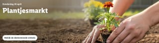 Plantjesmarkt bij Lidl op 30 april