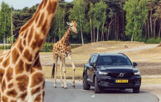 Entreeticket Safaripark Beekse Bergen voor €21,35 via Tripper