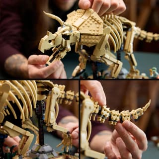 LEGO Jurassic World 77985 Les Fossiles de Dinosaure : le Tricératops à 79,99€
