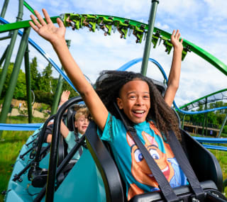 Family Deal (4 tickets) voor €109 bij Walibi Holland