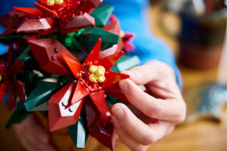 LEGO Icons Kerstster Poinsettia 10370 voor €39,90 bij Bol