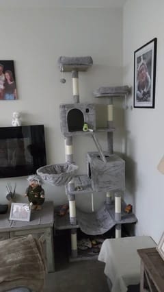 Krabpaal groot, 206 cm hoog, XXL krabpaal, met 13 krabpalen voor €38,99 bij Joybuy