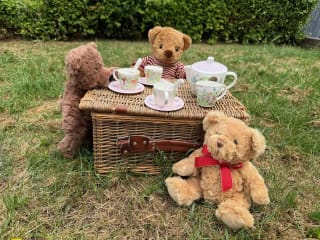 Free Ticket Kids Summer Fun Presents The Teddy Bear Picnic with The Toy Project