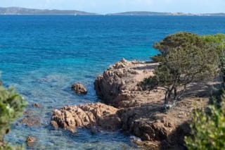 Séjour à l'hôtel Palau Green Village dès 242€/personne