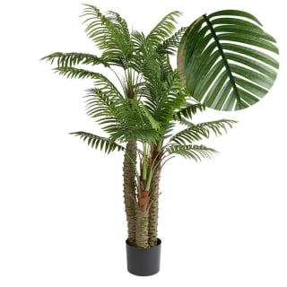 Diverse superdeals bij de Action