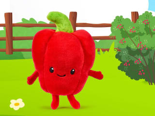 Spaar de LIDL MIni's bij jouw LIDL boodschappen