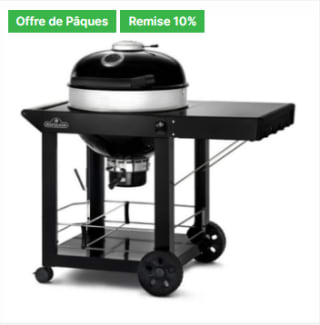 Barbecue charbon Napoléon Kettle PRO 57 cm sur chariot à 445€