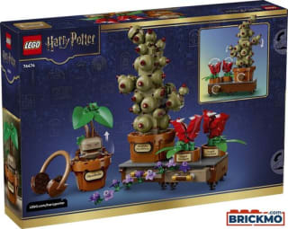 LEGO Harry Potter Zweinstein Kruidenkunde Planten (76474) voor €59,99 bij Bol