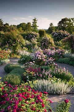 Free RHS garden entry for up to 2 adults at RHS