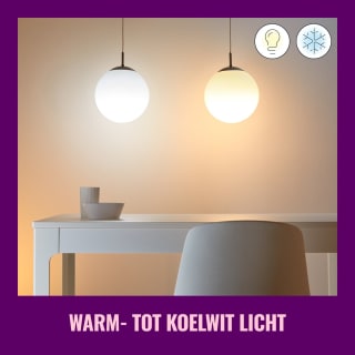 WiZ Starterkit - Home Monitoring (camera + 3 slimme LED-lampen) voor €49,99 bij Bol