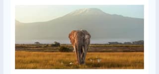 Aventura en Kenia 10 días Safaris y playas desde 1699€