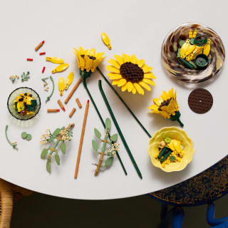 LEGO Botanicals Boeket met Zonnebloemen (11502) voor €34,99 bij Bol