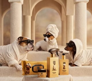 Gratis The Dog Spa hondendoekjes bij Rituals vanaf €30 besteding