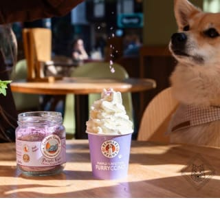 Gratis koffie en Purple Furfection Furryccino bij Bagels & Beans