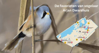 Gratis special met 4 prachtige vogelkijkgebieden van de Vogelbescherming