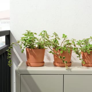 IKEA BRUNBÄR maceta terracota 15 cm con plato por 3.79€