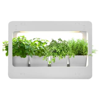 Huerto de interior led MINIGARDEN Growled Rebaja $29.990 solo en Mundo Lider, Chile