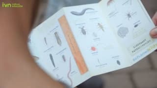 Gratis activiteiten tijdens de slootjesdagen van IVN van 5 t/m 7 juni