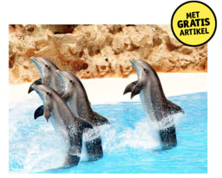 50% korting op diverse dierentuinen icm 2 actie-artikelen