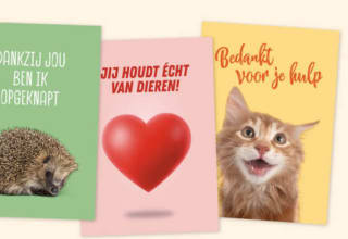 Stuur gratis een kaartje naar een dierenhulpverlener via Dierenlot