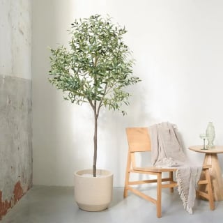 Kunst olijfboom (175 cm) voor €39,95