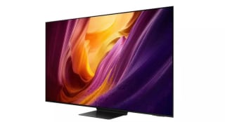 Samsung QE55S95HFTXXN TV voor €1699 bij Lunenburg