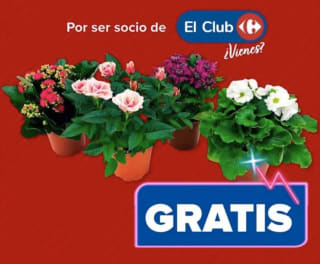 Gratis Planta en Carrefour por compras superiores a 50€