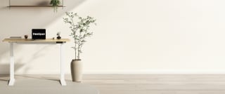 Plateau FlexiSpot 100 x 60 cm pour 20€ chez FlexiSpot