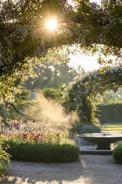 Free RHS garden entry for up to 2 adults at RHS