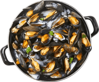 Moules frites tous les Ven-Sam-Dim à 12,95€
