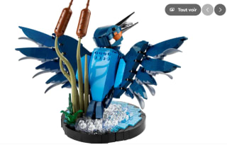 Le martin-pêcheur à 49,99€