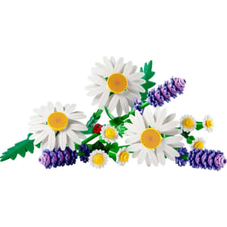 LEGO Botanicals Marguerites 11508 pour 9,59€ chez Carrefour
