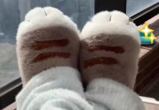 Pantuflas Adorables con Forma de Gato por $6.300