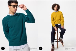 Pull 100% laine à 19,90€