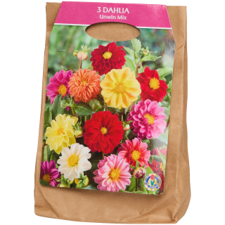 Verschillende soorten bloembollen vanaf €1,67 bij de Action