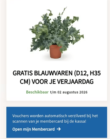 78SZmHnlVVRZO479qru7quifkaKE2Om2MMQzelV5.png