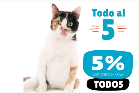 9qAb2GXD6q5Sw7JeAeeAlzjvklKhcGAXdaxaygJP.png