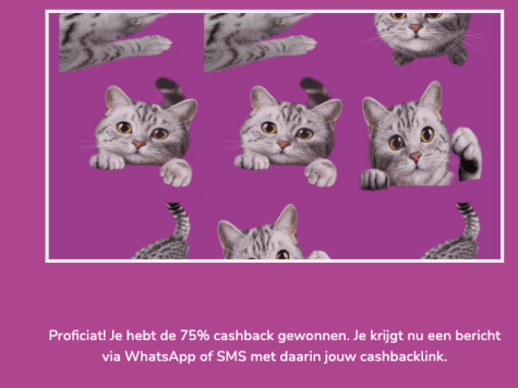 YloU4zmRaIiZmmPzwYdquWOqRD4idWyRQ3wt73v2.png